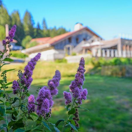 Auberge De La Poulciere Gérardmer Εξωτερικό φωτογραφία