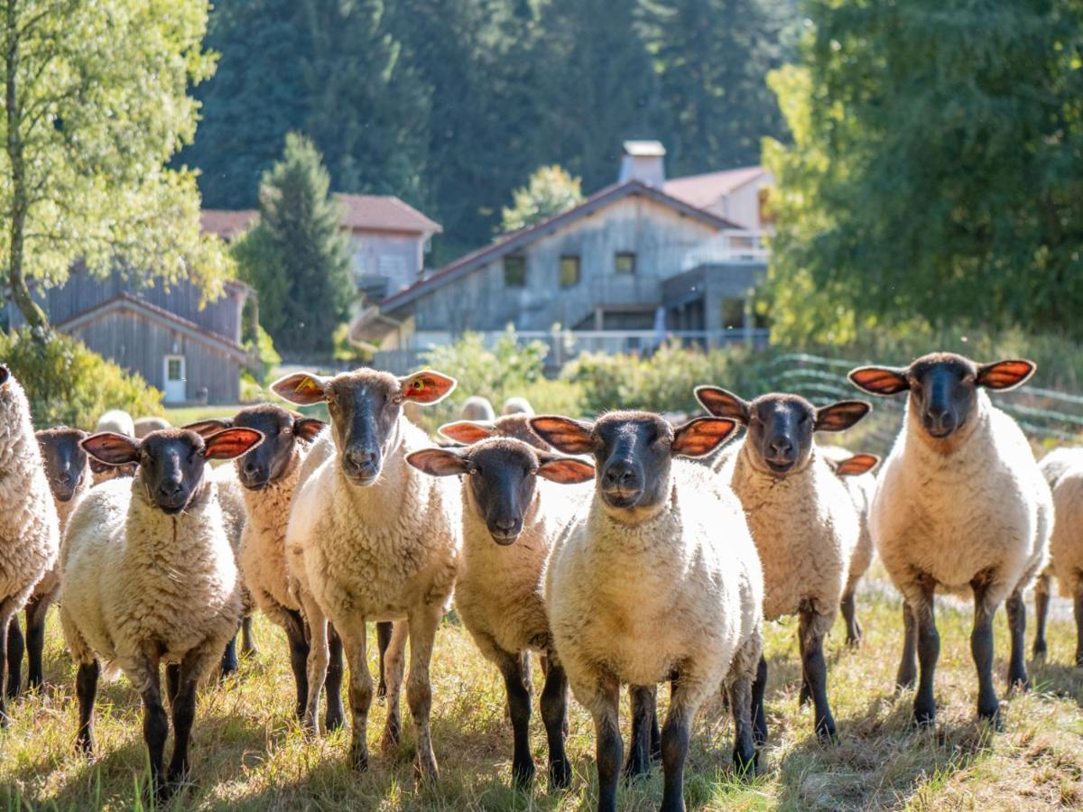 Auberge De La Poulciere Gérardmer Εξωτερικό φωτογραφία